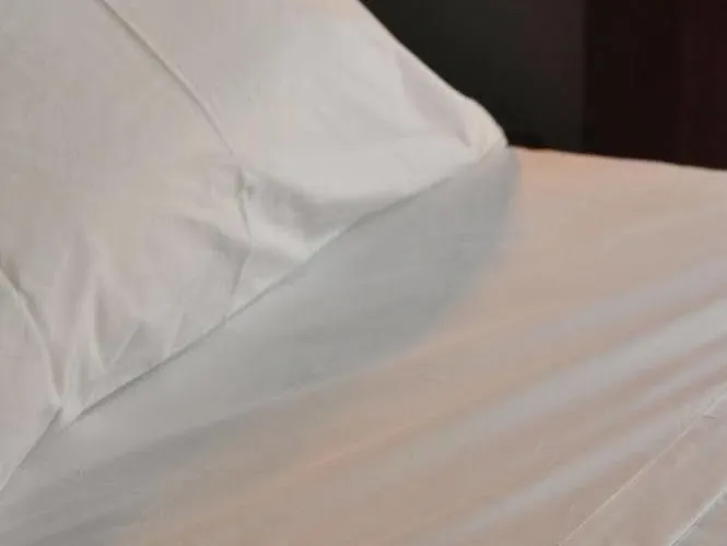 De' Ricci - Small Luxury Of The World 4* Řím